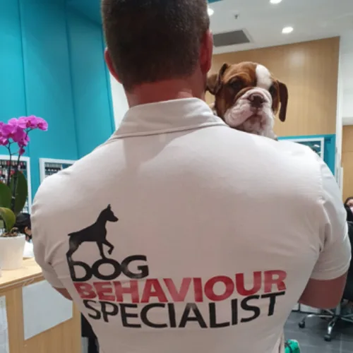Dog behaviour specialist with puppy